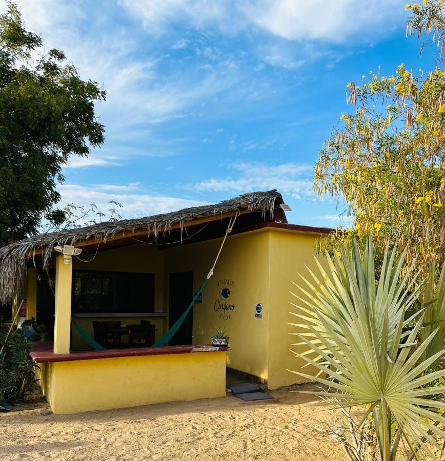 Bungalow Cirujano Lägenhet Cabo Pulmo Exteriör bild