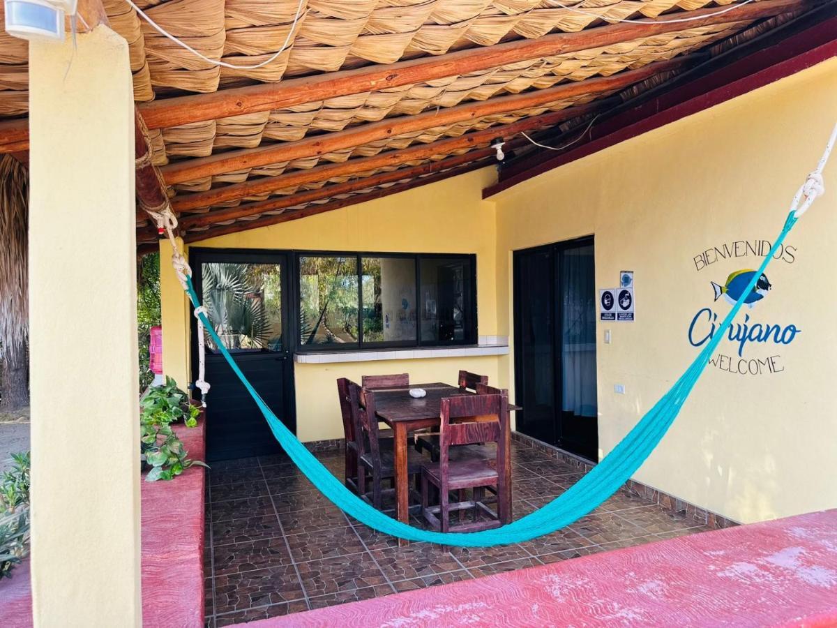 Bungalow Cirujano Lägenhet Cabo Pulmo Exteriör bild