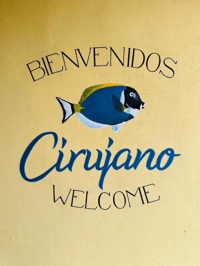 Bungalow Cirujano Lägenhet Cabo Pulmo Exteriör bild